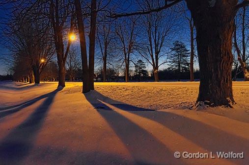 Tree Shadows At Dawn_04899-901.jpg - Photographed near Smiths Falls, Ontario, Canada.